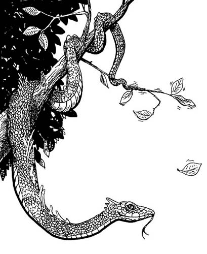 Capabilities: it has them.